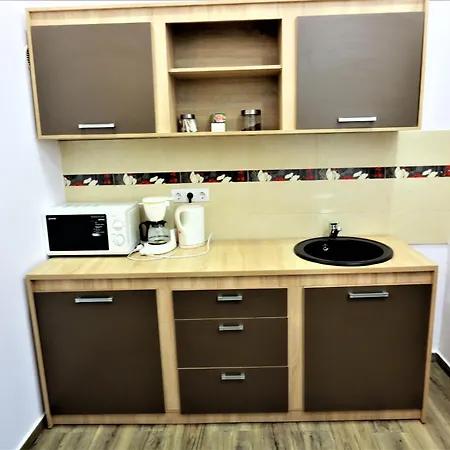 Apartament Flowers House Sybin