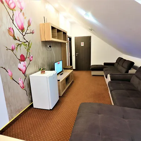 Flowers House Sybin