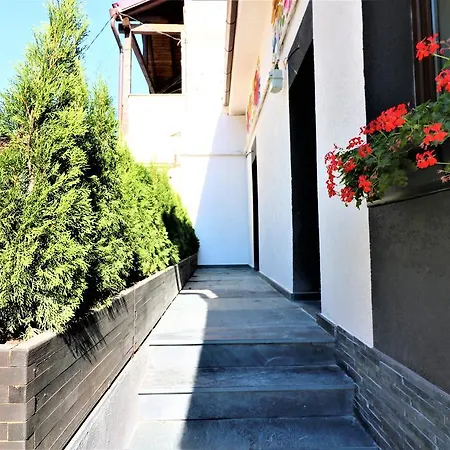 Flowers House Sibiu