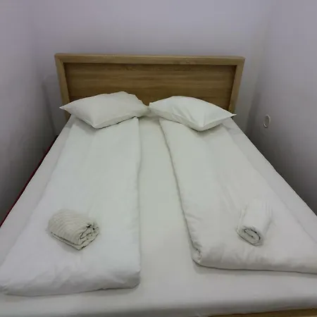 Apartament Flowers House Sybin