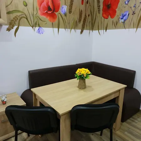 Flowers House Apartament Sybin
